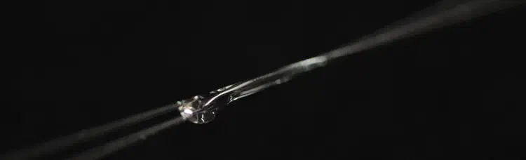 fibers.jpg
