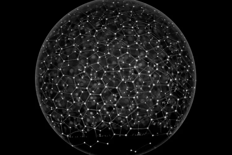 mousse-celeste-web.jpg