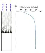 Evaporation-induced temperature gradient in a foam column