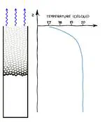 Evaporation-induced temperature gradient in a foam column