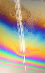 Role of evaporation in stability of foam films and foams