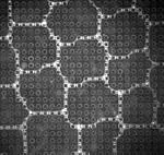 Straight to zigzag transition of foam pseudo Plateau borders on textured surfaces